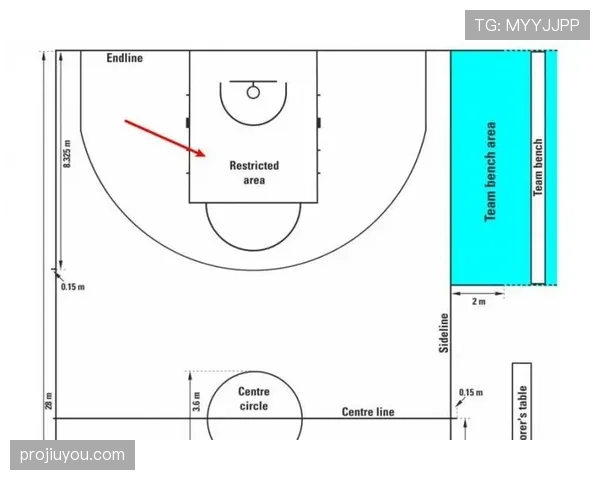 NBA和FIBA的罚球规则区别详解：罚球线距离与违例差异